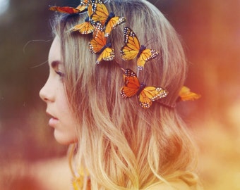 Monarch Dreams Crown
