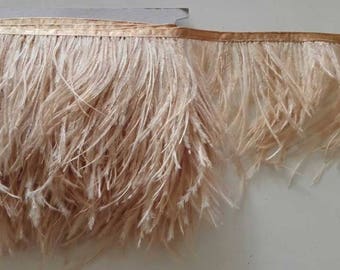 5-6"osritch feather trim, 5yds/each pack # FR17003