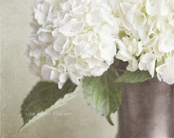 Shabby Chic Wall Decor, Rustic Home Print or Canvas Art, Hydrangea Print, Cottage Chic Decor, Shabby Chic Home Decor, Cream, Ivory.