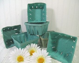 Berry Baskets Vintage Set of 6 Berigard Fiber Paper Bins FarmHouse Fresh Finds for Storage 6 Rustic Robin Egg Blue Organizer Bins Collection