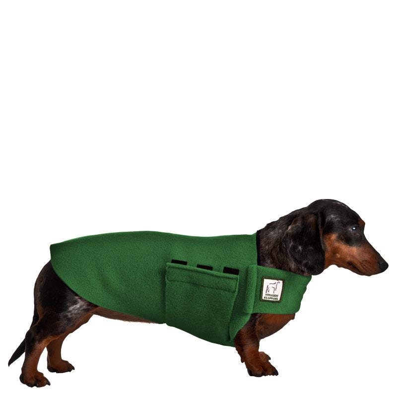 Вязаная одежда для таксы. Тигровая такса. Одежда для таксы. Свитер для таксы. Комбинезон для таксы.