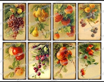 8 Vintage Grunge Victorian Vintage Fruit Collage Sheet ATC ACEO / Vintage Fruit Digital Collage Sheet Tags Images—Printable Ephemera