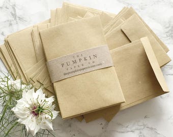 100 Seed Packet Envelopes Kraft Wedding Favor Envelopes Small Manilla Envelopes Seed Packets Coin Envelopes 3.7/8x2.5/8" 98x67mm approx