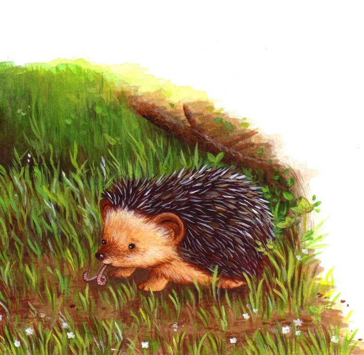 стишок про ёжика для детей. ежик иллюстрация. стих про ежика. детские про ежика. детские про ежика.
