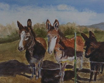 Three Amigos aceo limited edition