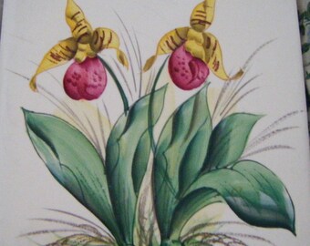 Beautiful Porcelain Trivet Tile Orchids Wall Hanging Vintage