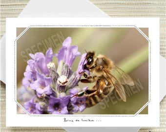 112. Forager sweetness...