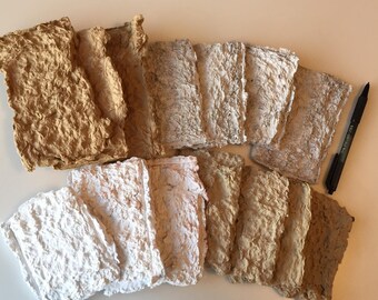 Dehydrated Paper Pulp from Recycled Papers 4oz