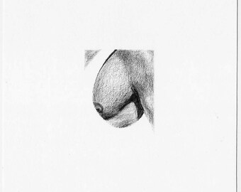 Small drawing - detail of a chest