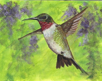 Hummingbird and wisteria aceo limited edition
