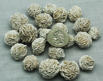 ONE Gypsum 'Desert Rose' from Mexico, Mineral Specimen for Sale