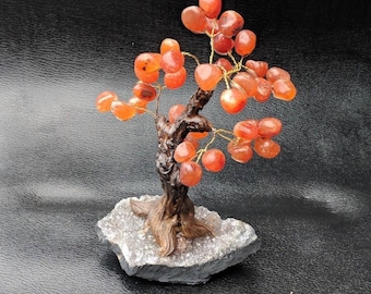 Finest carnelian tumbled Gemstone Tree Geode base