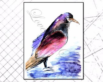 Angry BIRD, Printable Artwork, Modern Art, Poster, Digital Print, Digital Art, Instant download, Bird, Gift, Nature Art, Cadeau