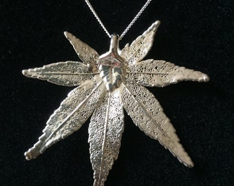 Large Sterling Silver Japanese Maple Leaf Necklace, Real Leaf "dipped" in Sterling Silver with 20 inch Sterling Silver Chain, Free Shipping