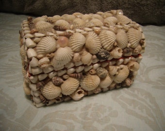 Vintage Folk Art Natural Shell Box Domed Lid