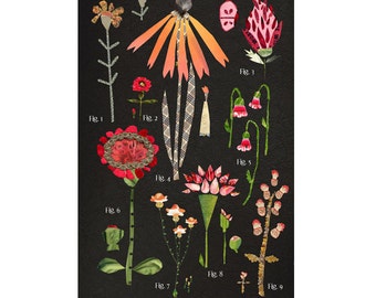 large botanical chart, red orange variations, mixed media print