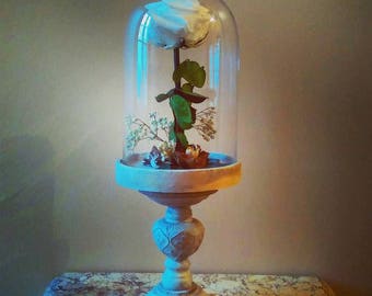 Pink eternal in bell jar on stand