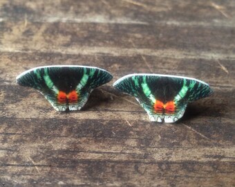 Sunset moth earrings jewelry butterfly insect bug nature