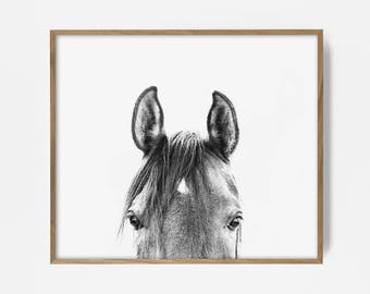 peekaboo horse, bw horse print, horse photo, equestrian print, equestrian photo, equestrian decor, western decor, southwest decor, bw print