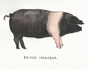 Original illustration - Pig