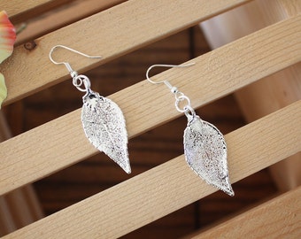 Silver Leaf Earrings, Evergreen Leaf, Real Leaf Earrings, Sterling Silver, Silver Leaves, Organic Gift, Silver Evergreen, Nature, LESM130