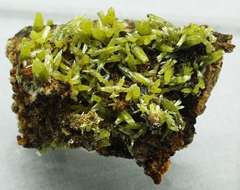 Pyromorphite Crystals, Mexico - Mineral Specimen for Sale