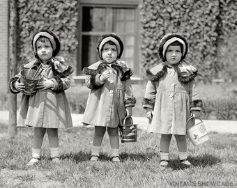 Vintage Photo Tripletts - Three Little Girls - Flower Girls - Old Photo Reprint