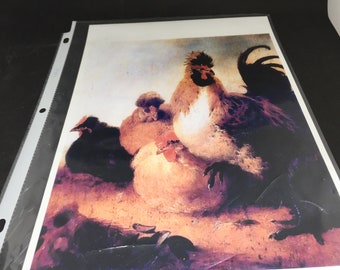 Rooster and Hens by Aelbert Cuyp’s (1620- 1691) Lithograph Print