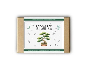 Bonsai Box - Auch als persönliche Geschenkidee - Saatgut und Samen für den Garten