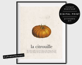 French Vegetables Prints Wall Art Pumpkin Art, French Farmhouse Kitchen Printable Kitchen Vegetable Prints, French Kitchen Print Download