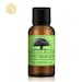 Wintergreen Essential Oil - Pure Organic Wintergreen Essential Oil, Gaultheria Procumbens, Muscle Pain Relief, DIY Natural Perfume, Vegan