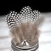 Natural Spotted Guinea Fowl Feathers - Black, Grey + White Spotted - 5 - 11cm - Great for Easter crafts, jewellery + dream catcher making!