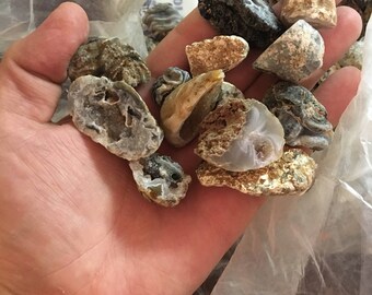 Wholesale 1lb Lot Oco Geode Crystals