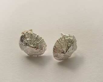 Small Marazion Sterling Silver Limpet Stud Earrings