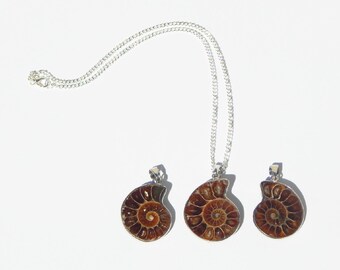 Ammonite Necklace, Ammonite Fossil Necklace, Fossil Necklace, Ammonite Pendant, Nautilus Necklace, Nautilus Fossil, Nautilus Necklace