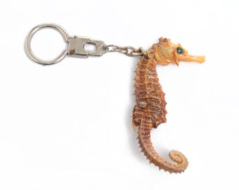 Taxidermy, taxidermy keychain, real seahorse, sea animal taxidermy, stuffed seahorse, oddities, key chain,