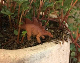 1 Miniature stegosaurus dinosaur for fairy garden / succulent / terrarium / mini garden