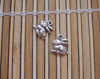 2 silver rabbit charms