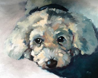 Custom Pet Portraits - Oil