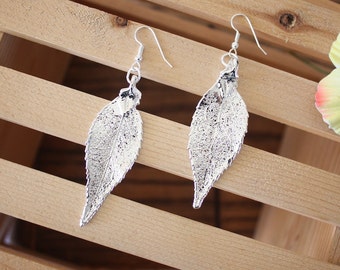 Silver Leaf Earrings, Evergreen Leaf, Real Leaf Earrings, Sterling Silver, Nature, LEP43