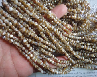freeform natural shell beads, near round mop beads, 5mm, about 15.5 inch