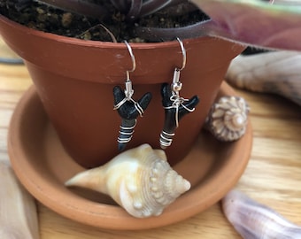 Shark Teeth Earrings