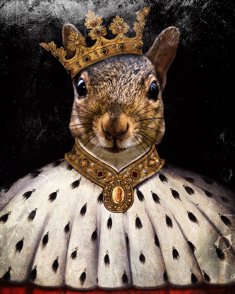 Belka пермь инстаграм. Белки запутались хвостами. Беличий король. Беличья шапка. Беличий король в природе.