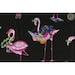 Timeless Treasures Quilting Cotton Fabric Flamingos on Black Background 126590 - 1/2 Yard