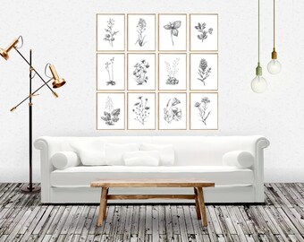 Botanical print, botanical art, botanical print set, botanical chart, black and white botanical, scandinavian design, scandinavian print set