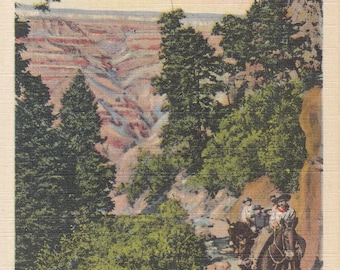 Vintage Arizona Postcard - Bright Angel Trail, Grand Canyon National Park, Horseback Riding