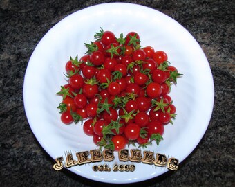sale item - Matt's Wild Cherry Heirloom Tomato Seeds