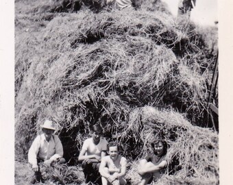 Making Hay - Original Found Photograph, Snapshot, Vintage Photo, Photography, Old photo, Family Photograph