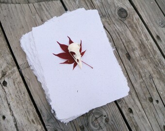 10 sheets of handmade recycled paper - white - homemade paper - gift wrap - paper for bookbinding - craft supplies