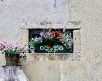 Flowers in a windowsill (printed photo)